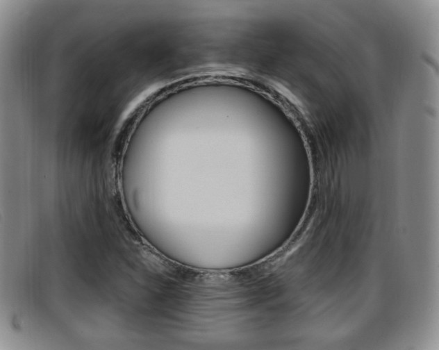 X0000096731310200802051119