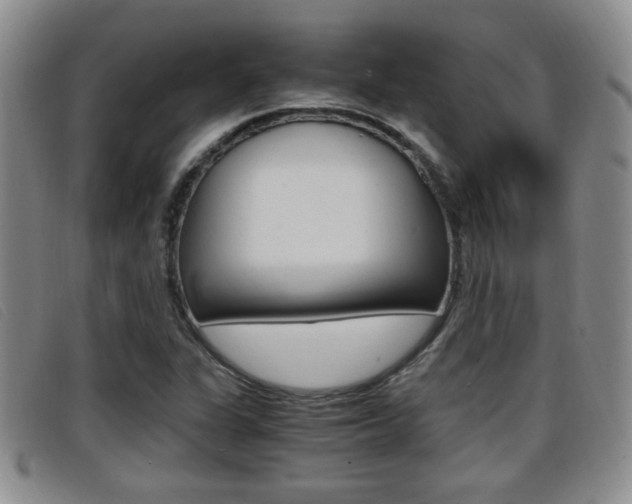 X0000096731311200802051119