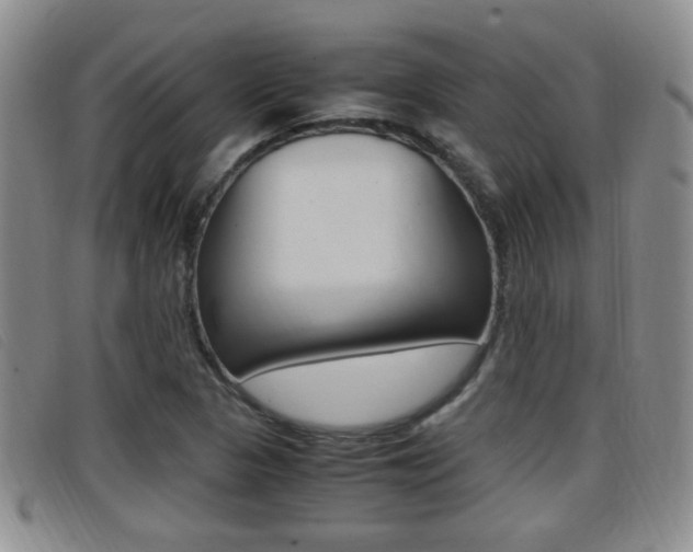 X0000096731313200802051119