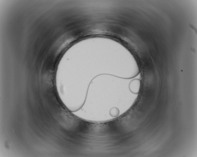 X0000096731314200802051119