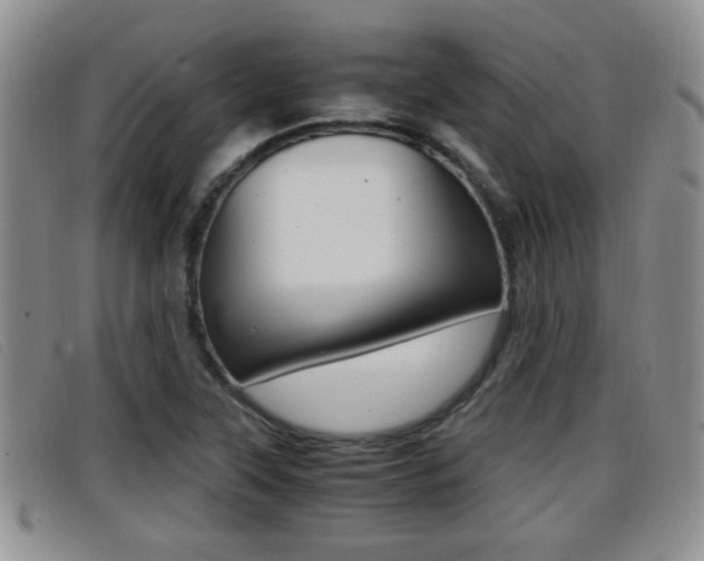 X0000096731315200802051119