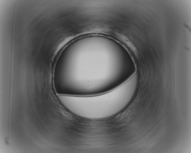 X0000096731316200802051119