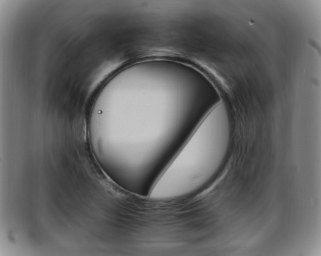 X0000096731317200802051119