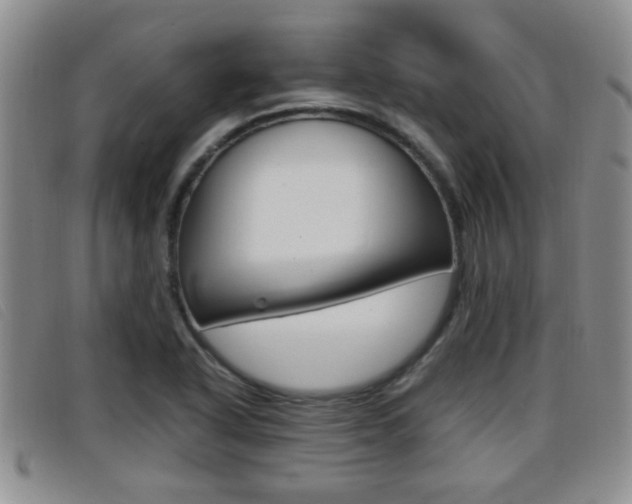 X0000096731318200802051119