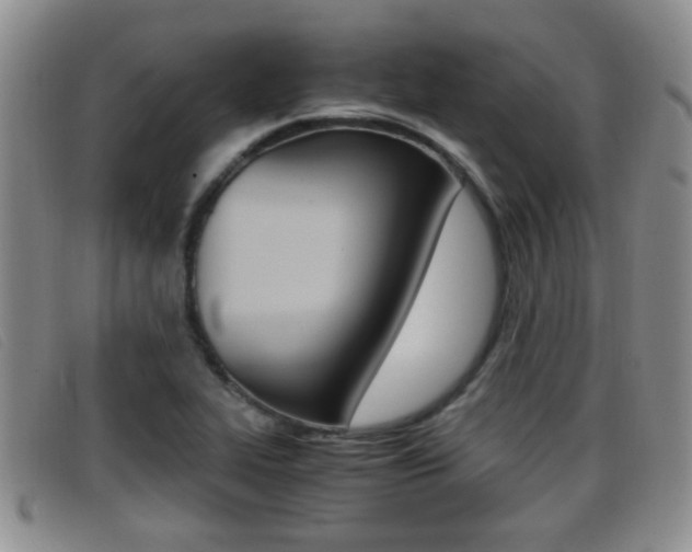 X0000096731319200802051119