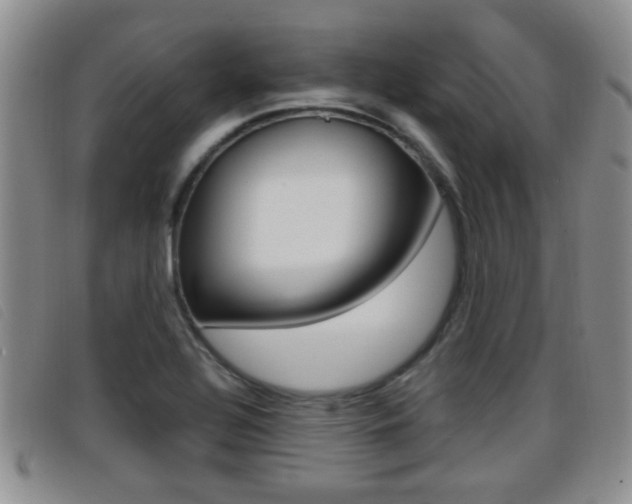 X0000096731320200802051119
