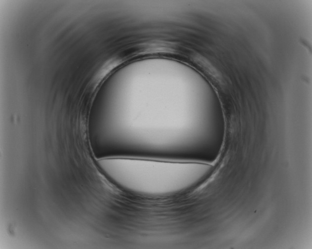 X0000096731321200802051119