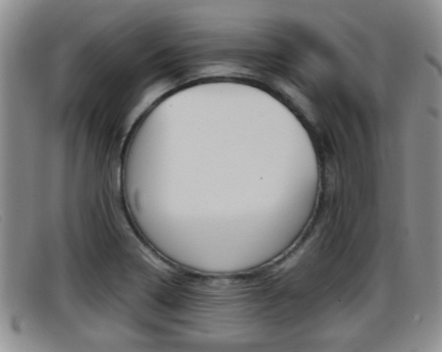 X0000096731322200802051119