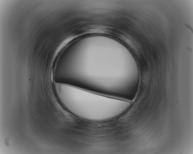 X0000096731323200802051119