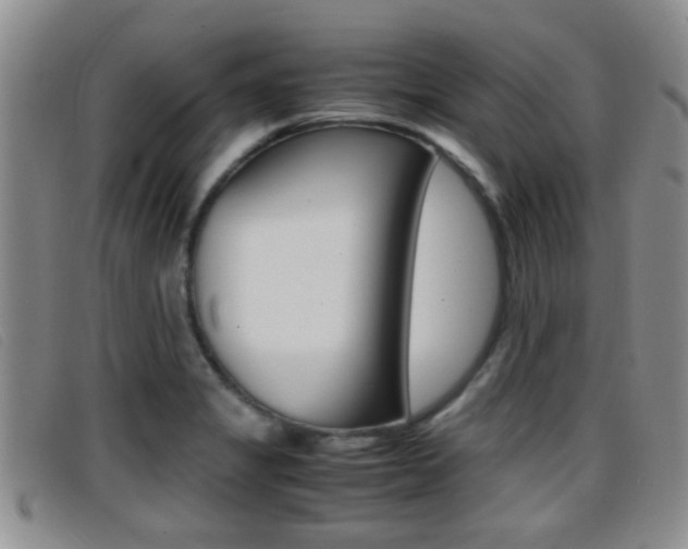 X0000096731325200802051119