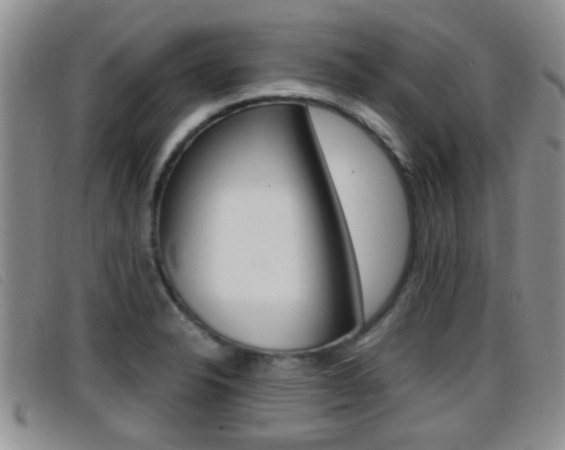 X0000096731326200802051119