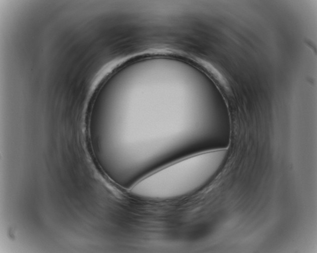X0000096731327200802051119