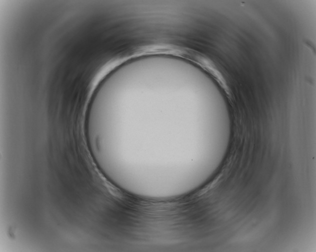 X0000096731328200802051119