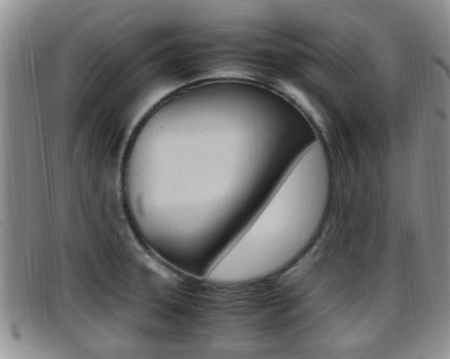 X0000096731331200802051119