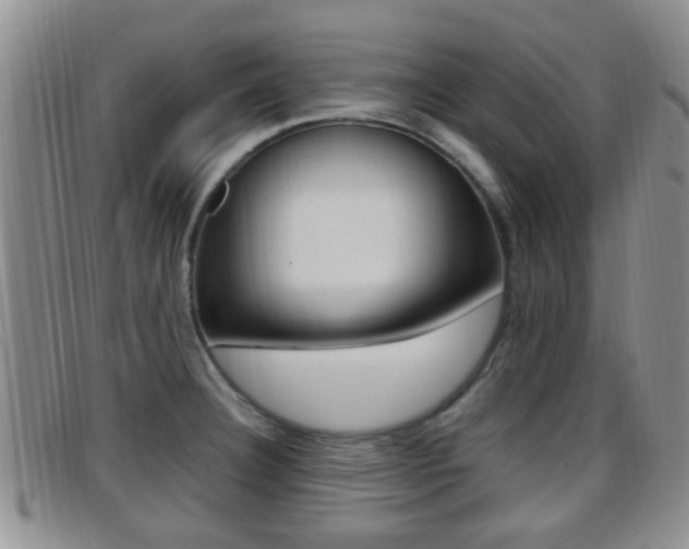 X0000096731332200802051119