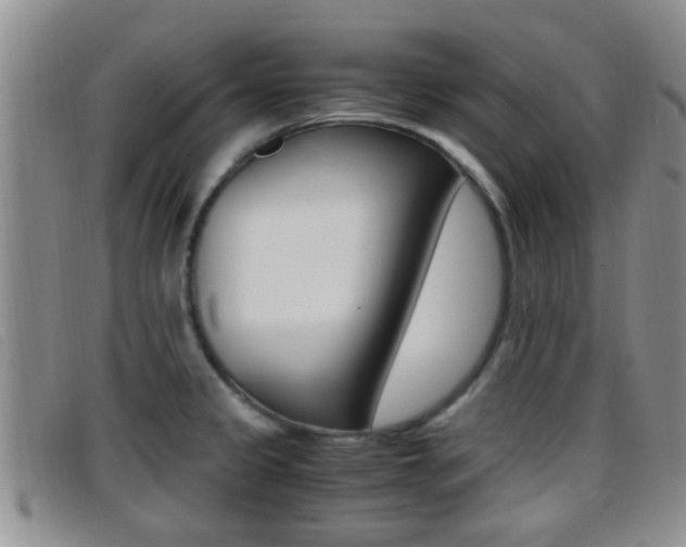X0000096731333200802051119