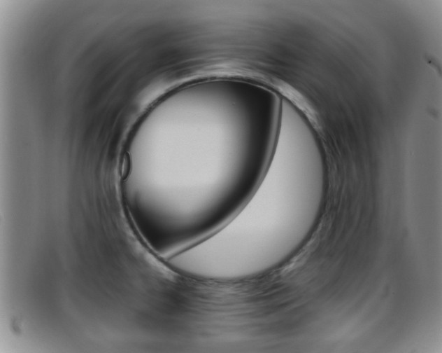 X0000096731334200802051119