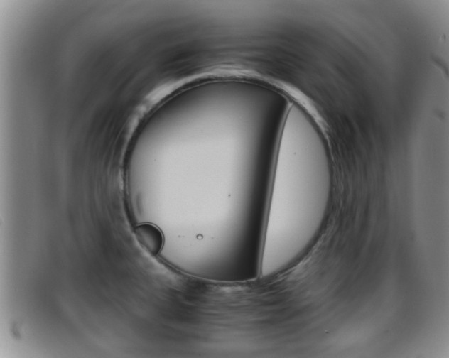 X0000096731335200802051119