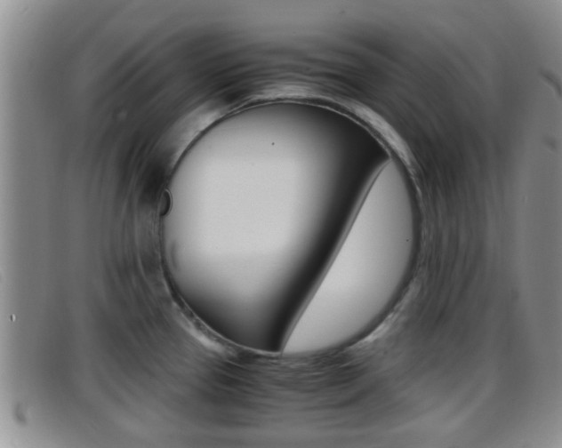 X0000096731337200802051119