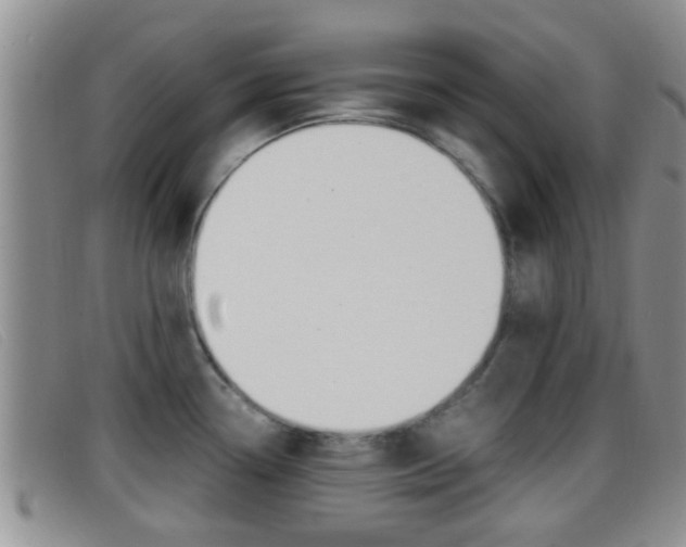 X0000096731338200802051119