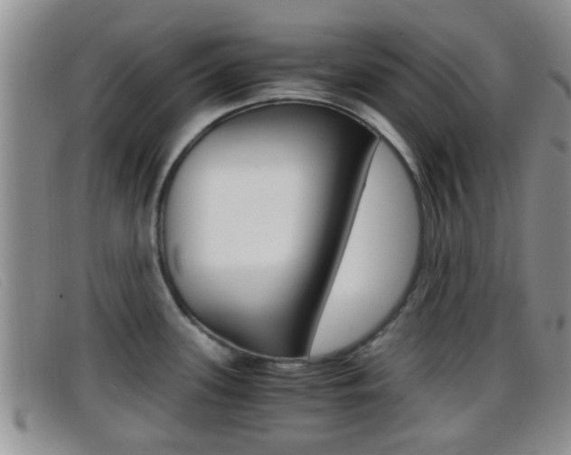 X0000096731339200802051119