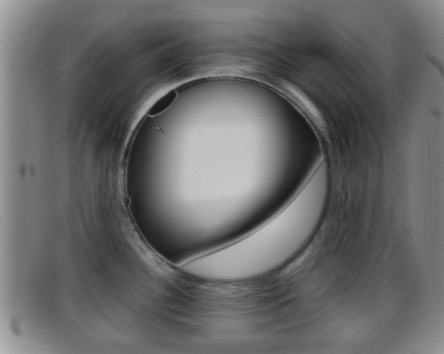 X0000096731340200802051119