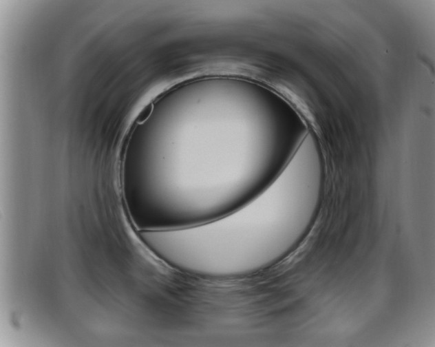 X0000096731342200802051119