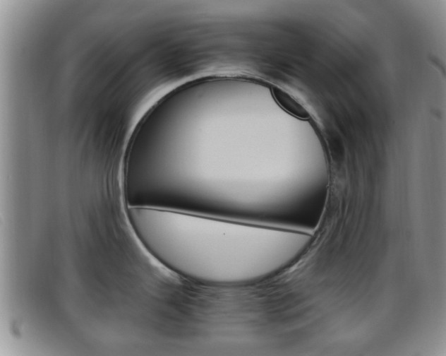 X0000096731343200802051119