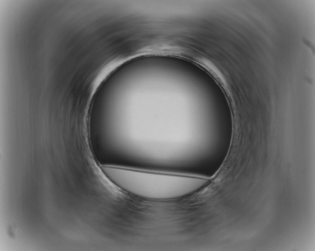 X0000096731344200802051119