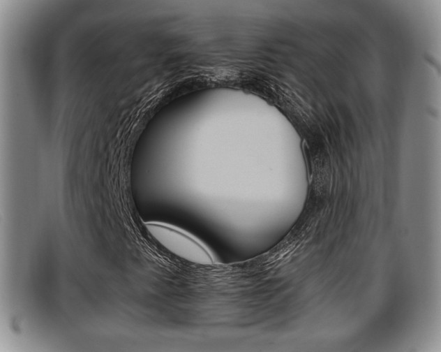 X0000096731345200802051119