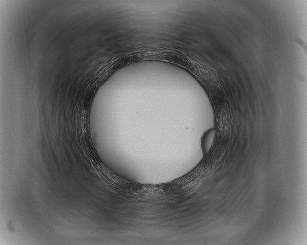 X0000096731346200802051119