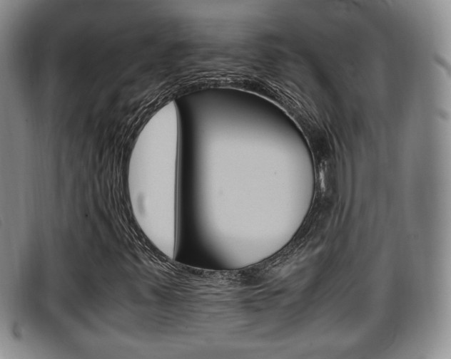 X0000096731347200802051119