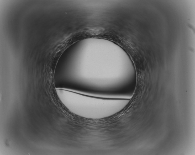 X0000096731349200802051119