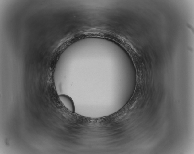 X0000096731350200802051119