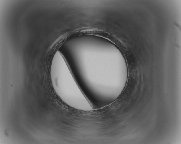 X0000096731351200802051119
