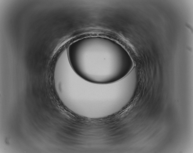 X0000096731352200802051119
