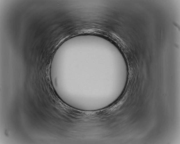 X0000096731353200802051119
