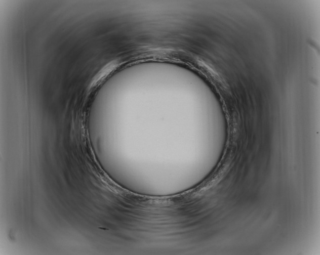 X0000096731354200802051119