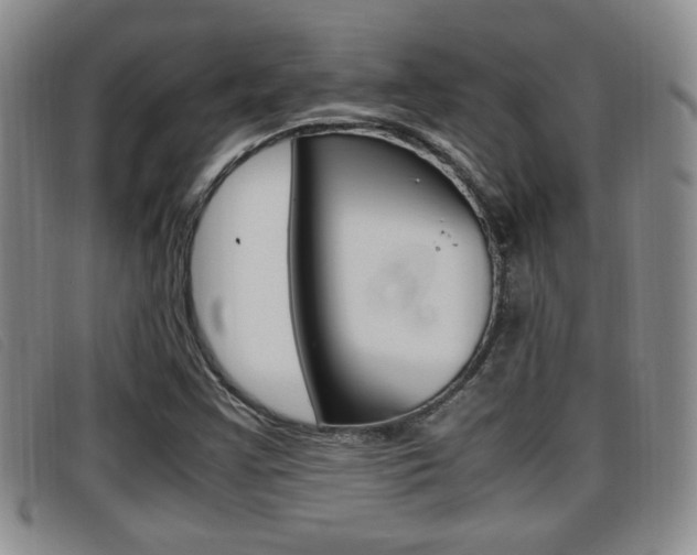 X0000096731355200802051119