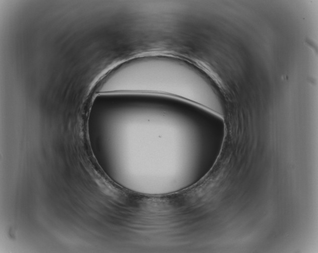 X0000096731356200802051119