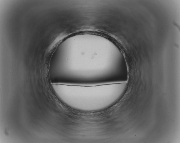 X0000096731359200802051119