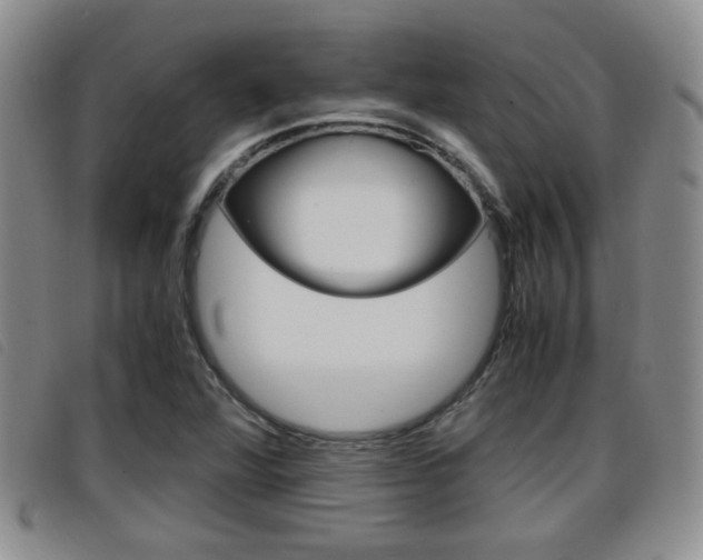 X0000096731360200802051119