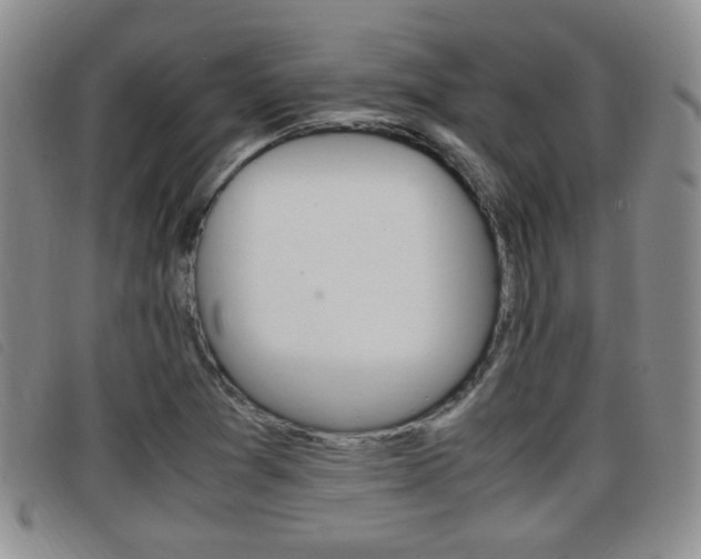 X0000096731361200802051119