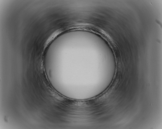 X0000096731362200802051119