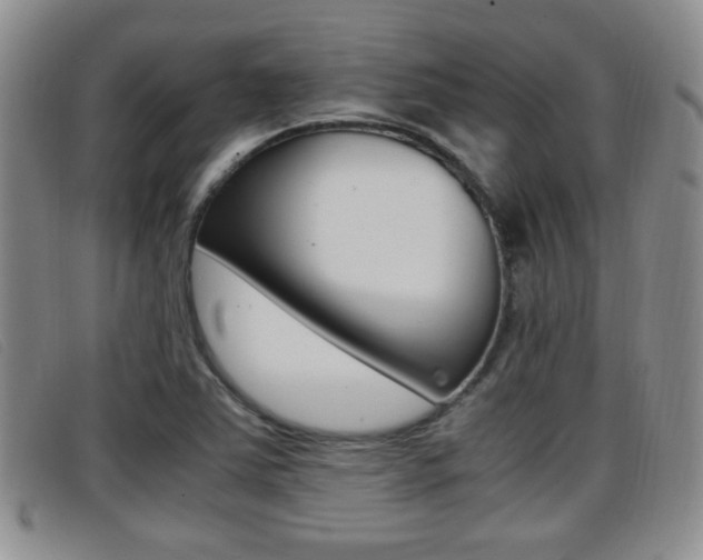 X0000096731363200802051118