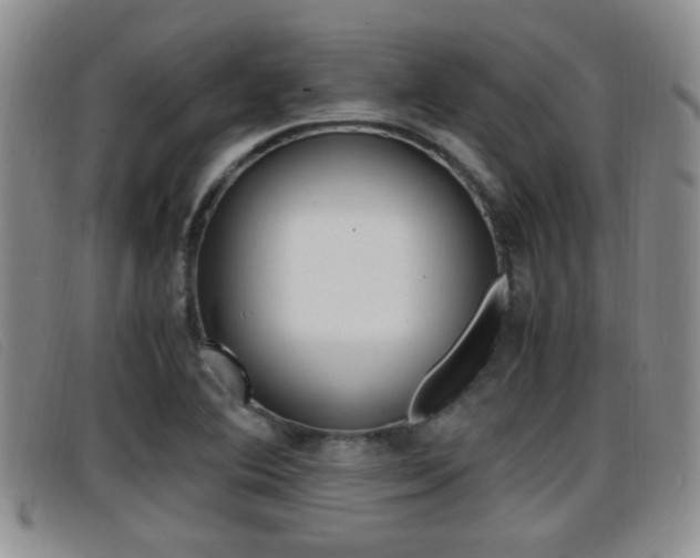 X0000096731364200802051118
