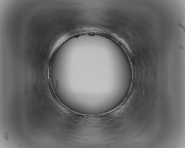 X0000096731365200802051118