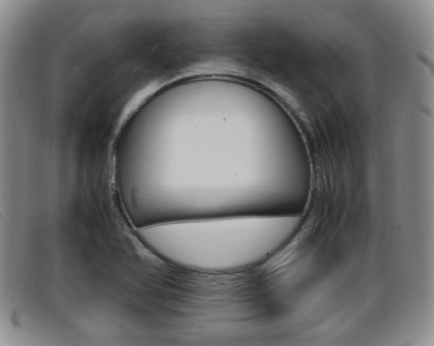 X0000096731366200802051118