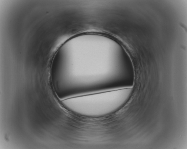 X0000096731367200802051118
