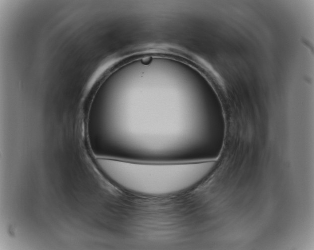 X0000096731368200802051118